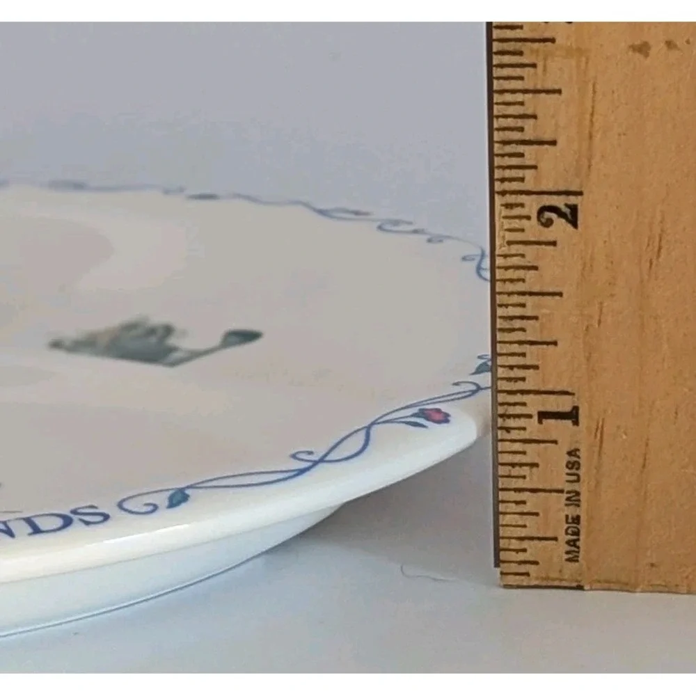 Vintage Eden Peter Rabbit and Friends Divided Plate Melamine 3 Section 8 inch